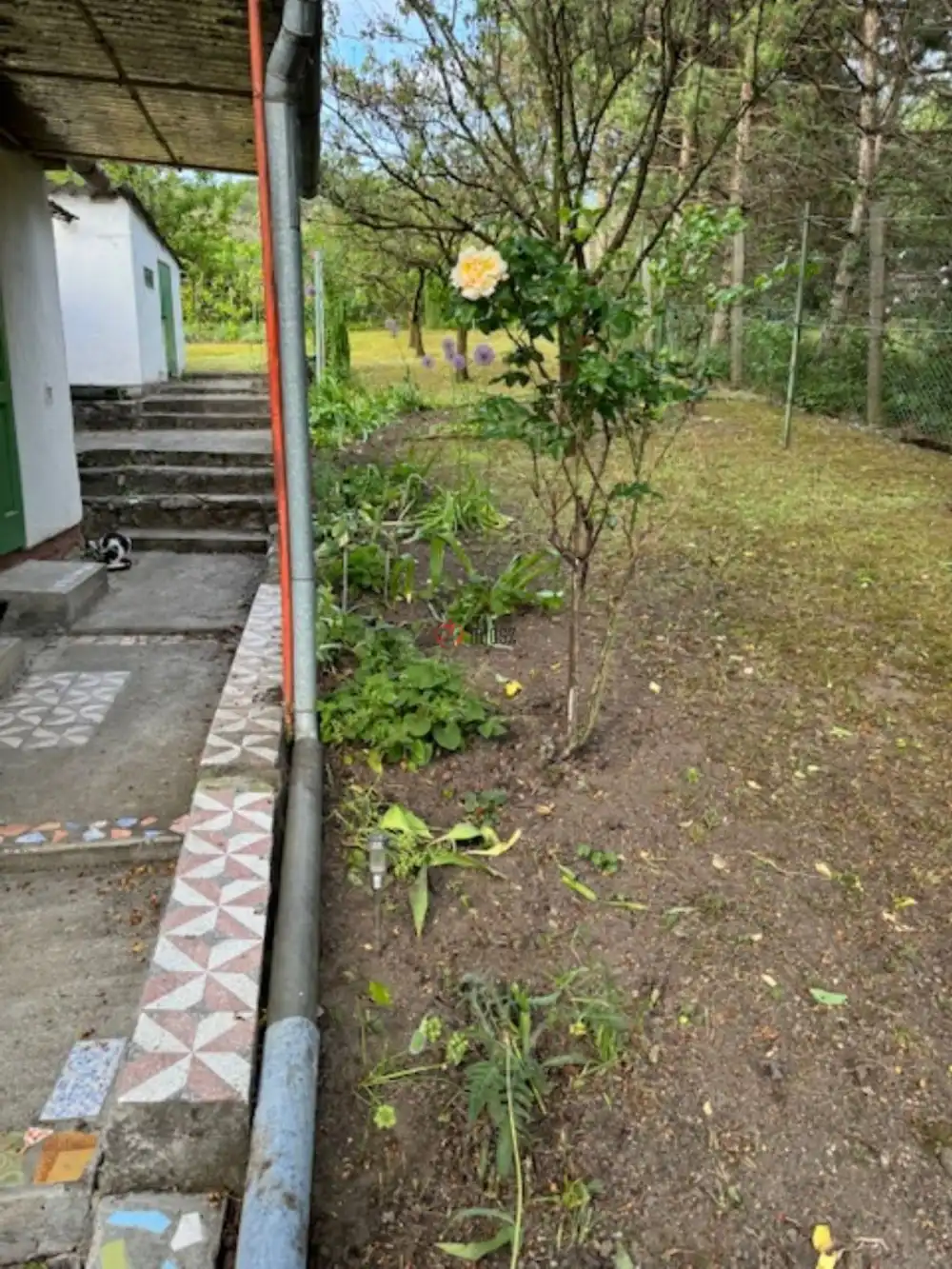 Pest megye - Páty