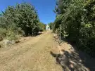 Pest megye - Páty